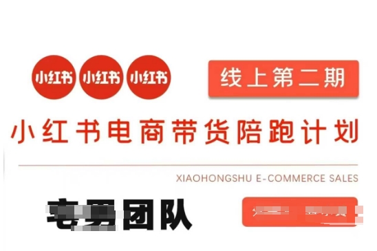 小红书电商带货课2期，月利润20个的小红书电商的有货源，无货源，虚拟产品，付费投流等整套玩法跨境课程-外贸教程-精品网课-电商运营课库课堂