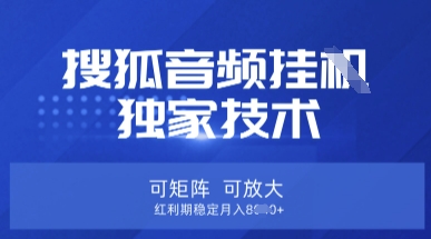 【搜狐音频挂G】独家技术，可矩阵可放大，红利期稳定月入8k跨境课程-外贸教程-精品网课-电商运营课库课堂