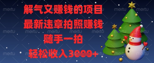 解气又挣钱的项目，最新违章拍照挣钱，随手一拍，轻松收入数张跨境课程-外贸教程-精品网课-电商运营课库课堂