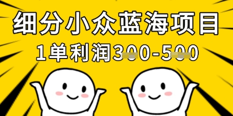 细分小众蓝海项目，一单利润3张，每月收入稳定过1w+跨境课程-外贸教程-精品网课-电商运营课库课堂