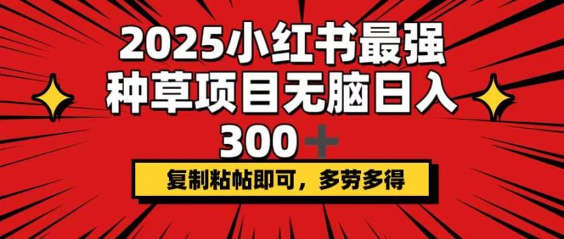 2025小红书最强种草项目，无脑日入300+，复制粘帖即可，多劳多得跨境课程-外贸教程-精品网课-电商运营课库课堂