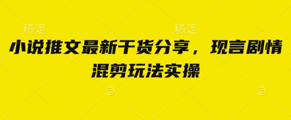小说推文最新干货分享，现言剧情混剪玩法实操跨境课程-外贸教程-精品网课-电商运营课库课堂