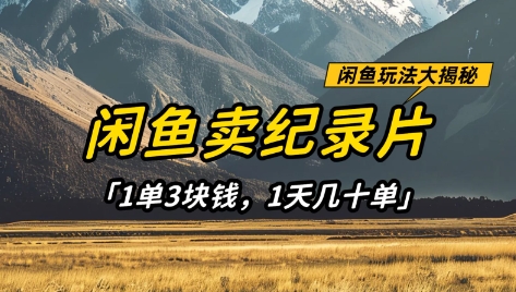 闲鱼卖纪录片1单3块钱，1天几十单，项目稳定有潜力跨境课程-外贸教程-精品网课-电商运营课库课堂