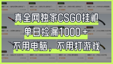 真全网独家CSGO挂G，单日捡漏1k+跨境课程-外贸教程-精品网课-电商运营课库课堂