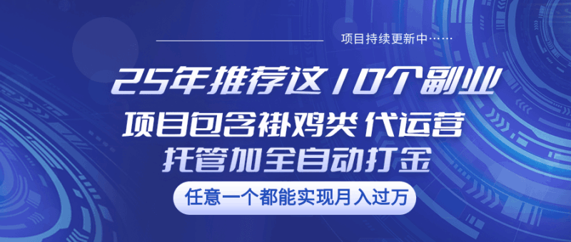 25年推荐这10个副业 项目包含褂鸡类、代运营托管类、全自动打金类跨境课程-外贸教程-精品网课-电商运营课库课堂