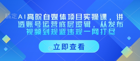 AI高阶自媒体项目实操课，讲透账号运营底层逻辑，从发布视频到规避违规一网打尽跨境课程-外贸教程-精品网课-电商运营课库课堂