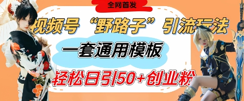 视频号“野路子”玩法，评论区疯狂截流，一套模板单日单号引流50+创业粉跨境课程-外贸教程-精品网课-电商运营课库课堂