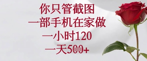 你只管截图，一部手机在家做，苹果安卓都可以，一小时120，一天5张+跨境课程-外贸教程-精品网课-电商运营课库课堂