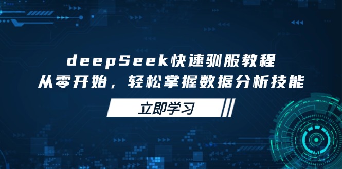 deepSeek快速驯服教程，从零开始，轻松掌握数据分析技能跨境课程-外贸教程-精品网课-电商运营课库课堂