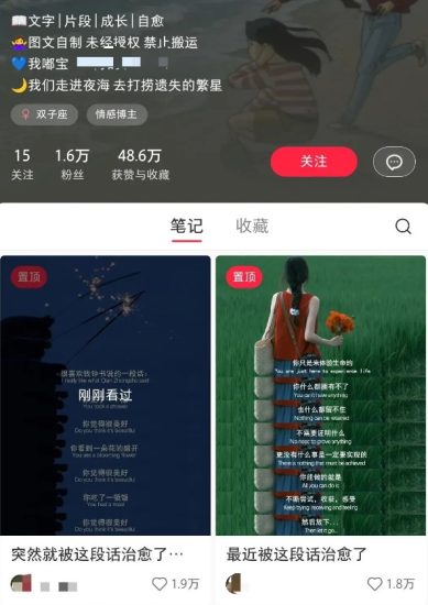 小红书治愈文案图文笔记，零门槛，一分钟制作轻松制作爆款作品月入万元跨境课程-外贸教程-精品网课-电商运营课库课堂