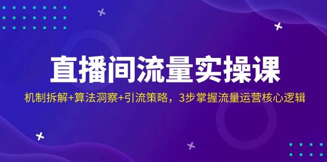 直播间流量实操课：机制拆解+算法洞察+引流策略，3步掌握流量运营核心逻辑跨境课程-外贸教程-精品网课-电商运营课库课堂
