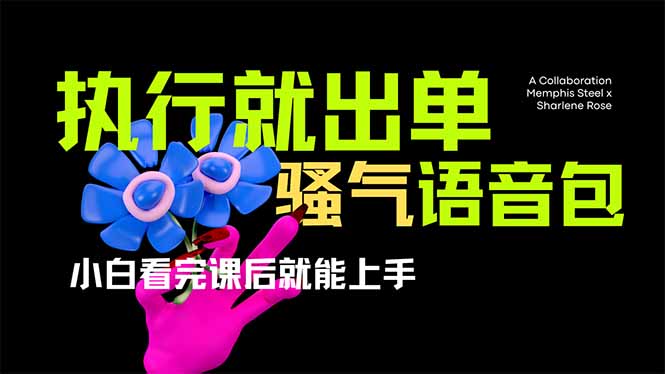 爆火全网的开车导航骚气语音包,只要执行就出单，小白看完课程就能实操…跨境课程-外贸教程-精品网课-电商运营课库课堂