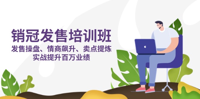 销冠 发售培训班：发售 操盘+情商 飙升+卖点 提炼，实战提升百万业绩跨境课程-外贸教程-精品网课-电商运营课库课堂