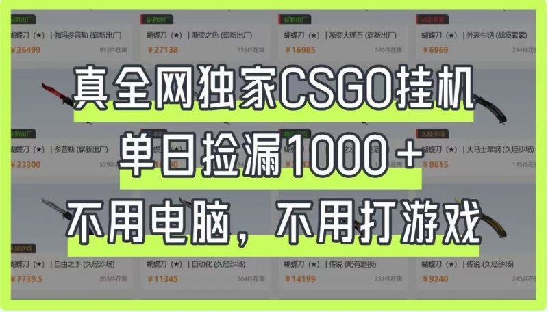 真全网独家CSGO挂机，单日捡漏1000+，不用电脑，不用养号跨境课程-外贸教程-精品网课-电商运营课库课堂