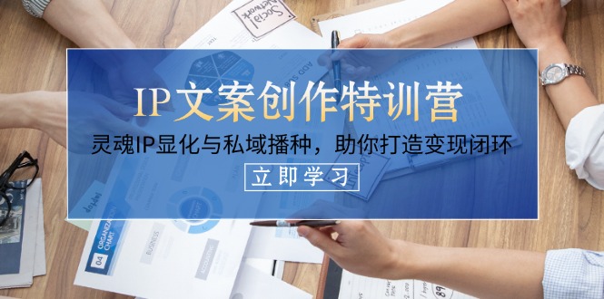 IP文案创作特训营，灵魂IP显化与私域播种，助你打造变现闭环（14节课）跨境课程-外贸教程-精品网课-电商运营课库课堂