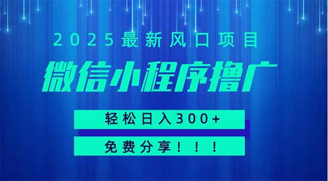 微信小程序撸广，最新风口项目，日入300+ 免费分享 可批量操作 小白可…跨境课程-外贸教程-精品网课-电商运营课库课堂