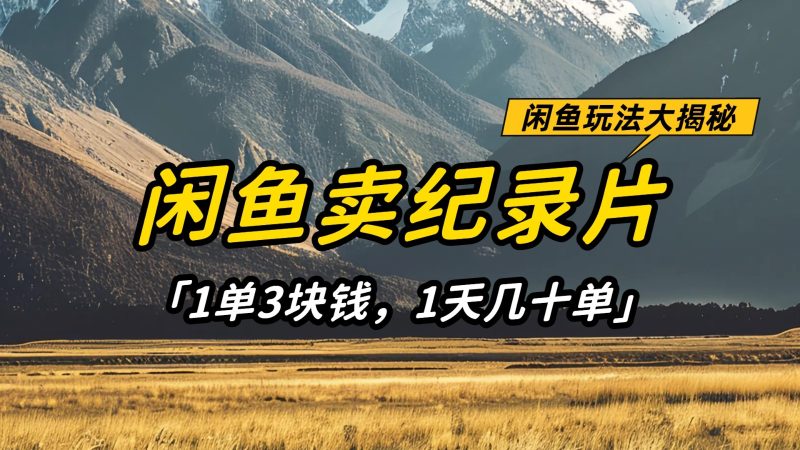 闲鱼卖纪录片,简单又赚钱的小项目,1单3块钱 1天几十单跨境课程-外贸教程-精品网课-电商运营课库课堂