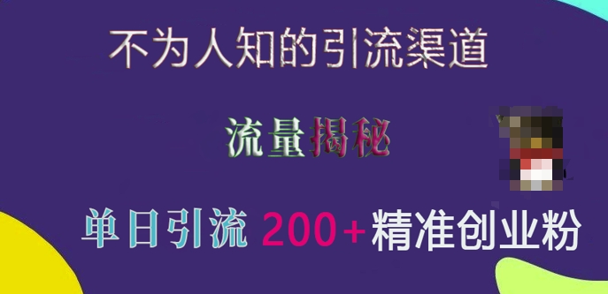 不为人知的引流渠道，流量揭秘，实测单日引流200+精准创业粉跨境课程-外贸教程-精品网课-电商运营课库课堂