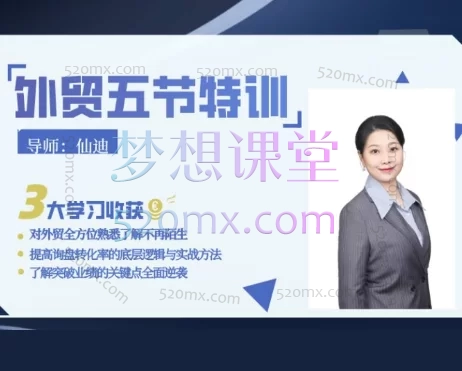 仙迪外贸新人从小白进阶精英高效五节课跨境课程-外贸教程-精品网课-电商运营课库课堂