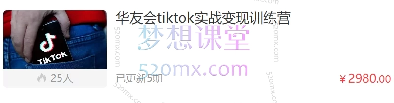 华友会tiktok实战变现训练营跨境课程-外贸教程-精品网课-电商运营课库课堂