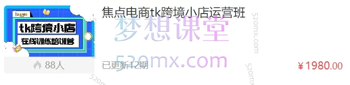 焦点电商tk跨境小店运营班跨境课程-外贸教程-精品网课-电商运营课库课堂