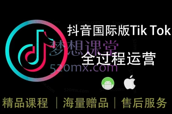 海外抖音Tik Tok全过程运营课程，入门到高阶跨境课程-外贸教程-精品网课-电商运营课库课堂