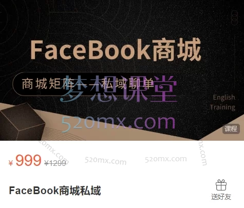 TikTok尼卡文化：FaceBook商城私域，商城矩阵私域聊单跨境课程-外贸教程-精品网课-电商运营课库课堂