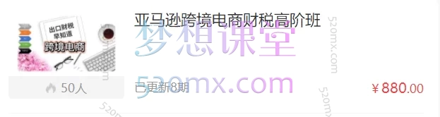 亚马逊跨境电商财税高阶班跨境课程-外贸教程-精品网课-电商运营课库课堂