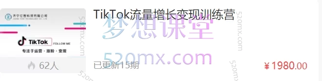 TikTok流量增长变现训练营跨境课程-外贸教程-精品网课-电商运营课库课堂
