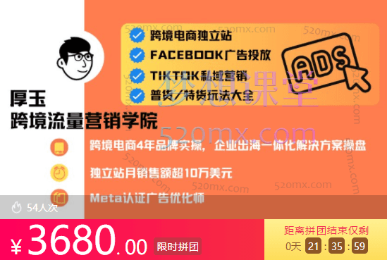厚玉Aron跨境电商独立站及全域流量营销（视频+课件）跨境课程-外贸教程-精品网课-电商运营课库课堂