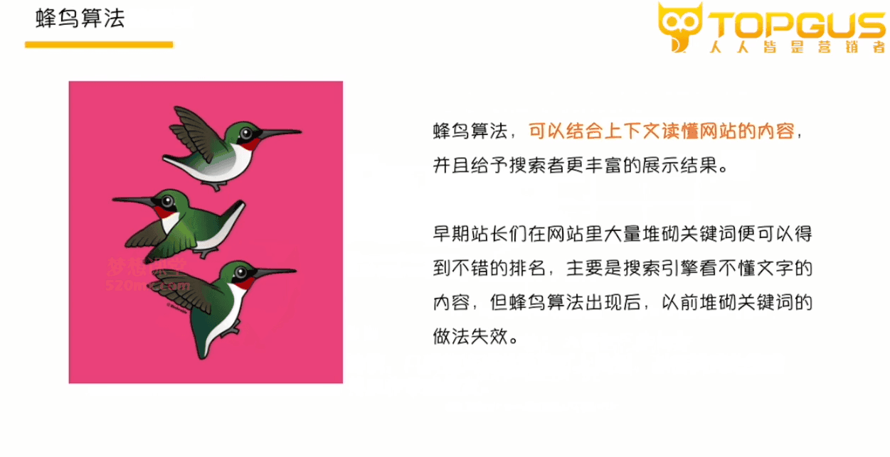 图片[2]跨境课程-外贸教程-精品网课-电商运营拓思谷google谷歌SEO全攻略：从基础到进阶让你轻松收盘跨境课程-外贸教程-精品网课-电商运营课库课堂