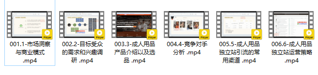 图片[3]跨境课程-外贸教程-精品网课-电商运营成人用品独立站从0-1入门，市场趋势分析、商业模式讲解、目标受众调研、竞对分析、选品、引流、高转化成人独立站打造，从0-1全面掌握独立站成品运营策略跨境课程-外贸教程-精品网课-电商运营课库课堂