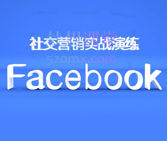 小蜜蜂外贸Facebook营销，社交营销实战课程跨境课程-外贸教程-精品网课-电商运营课库课堂