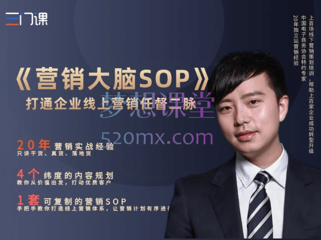 营销大脑SOP外贸营销全攻略：从定位到落地，全方位打造营销竞争力跨境课程-外贸教程-精品网课-电商运营课库课堂