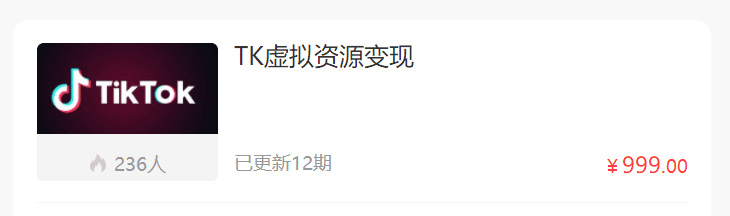 Tiktok虚拟资源变现跨境课程-外贸教程-精品网课-电商运营课库课堂