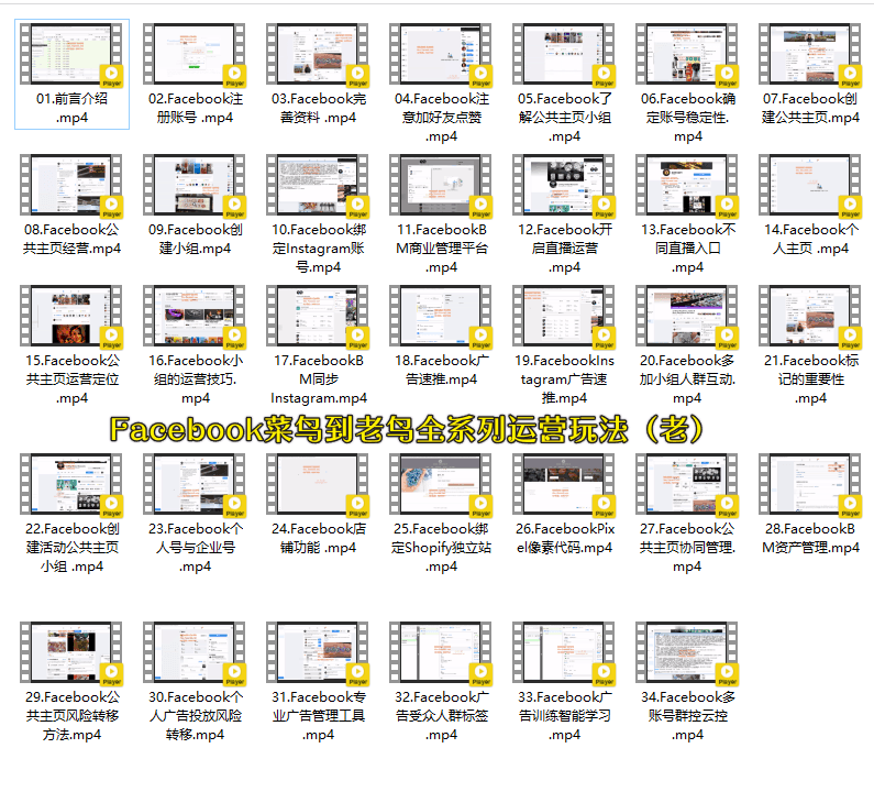 图片[2]跨境课程-外贸教程-精品网课-电商运营跨境小哥 Facebook 广告投放菜鸟到老鸟系列课程：200 万美金实战经验 + 多场景实操跨境课程跨境课程-外贸教程-精品网课-电商运营课库课堂