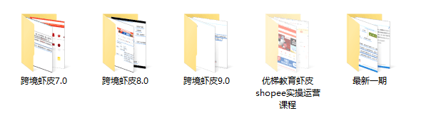 图片[2]跨境课程-外贸教程-精品网课-电商运营优梯跨境虾皮 Shopee 大神 VIP 体系课程（7.0/8.0/9.0）：全阶段运营实战 + 爆单策略跨境课程跨境课程-外贸教程-精品网课-电商运营课库课堂