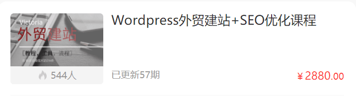 WordPress外贸建站+SEO优化课程，Victoria手把手教你从0到1搭建可获得询盘的外贸网站！跨境课程-外贸教程-精品网课-电商运营课库课堂