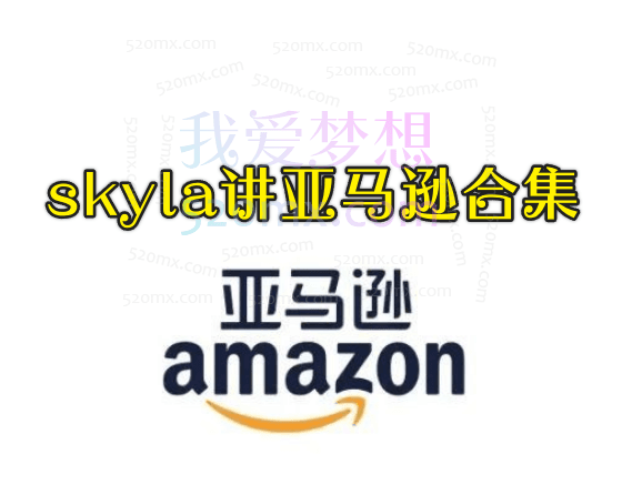 skyla主讲亚马逊卖家百万利润的全流程合集跨境课程-外贸教程-精品网课-电商运营课库课堂