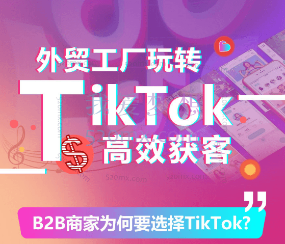 淼森：外贸工厂玩转TikTok，高效获客跨境课程-外贸教程-精品网课-电商运营课库课堂