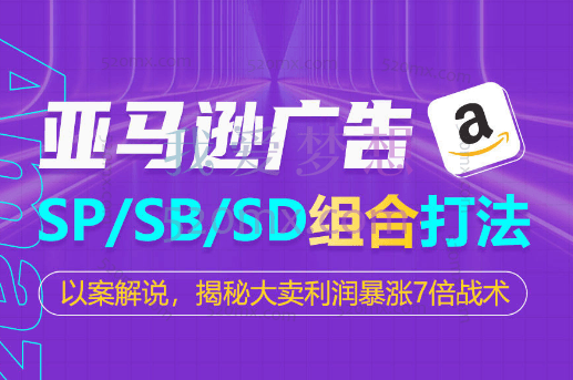 亚马逊SP/SB/SD广告组合打法，以案解说，揭秘大卖利润暴涨7倍战术跨境课程-外贸教程-精品网课-电商运营课库课堂