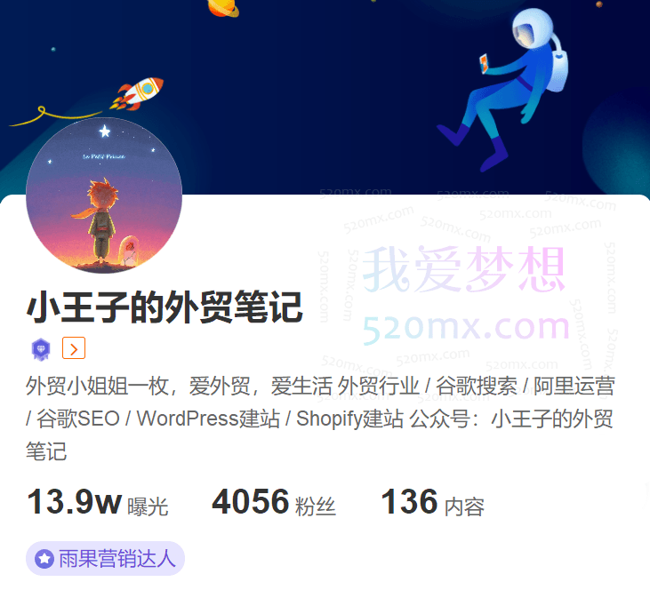 小王子的外贸笔记-独立站谷歌SEO系列教程跨境课程-外贸教程-精品网课-电商运营课库课堂