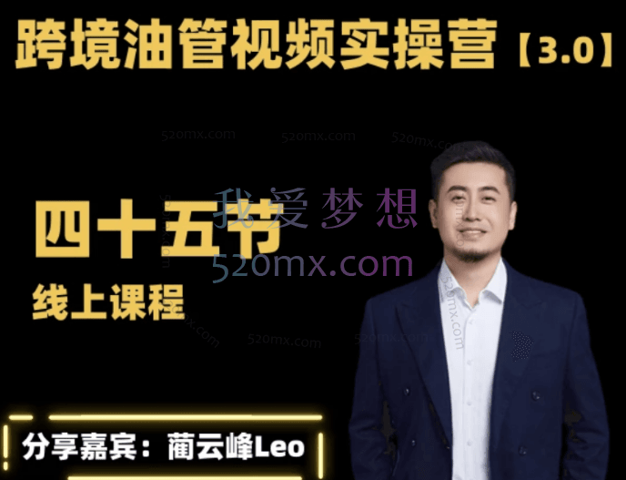 【黑松与山】蔺云峰Leo：油管YouTube线上运营实操课跨境电商YouTube运营跨境课程-外贸教程-精品网课-电商运营课库课堂