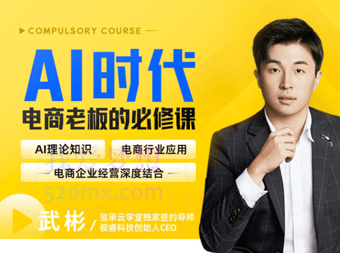 AI时代，电商老板的必修课，理论+实操+工具，驱动电商销售转化。跨境课程-外贸教程-精品网课-电商运营课库课堂