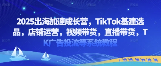 2025出海加速成长营，TikTok基建选品，店铺运营，视频带货，直播带货，TK广告投流等系统教程跨境课程-外贸教程-精品网课-电商运营课库课堂