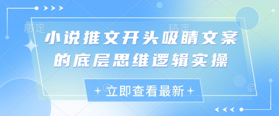 小说推文开头吸睛文案的底层思维逻辑实操跨境课程-外贸教程-精品网课-电商运营课库课堂