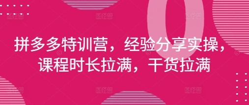 拼多多特训营，经验分享实操，课程时长拉满，干货拉满(更新25年4月)跨境课程-外贸教程-精品网课-电商运营课库课堂