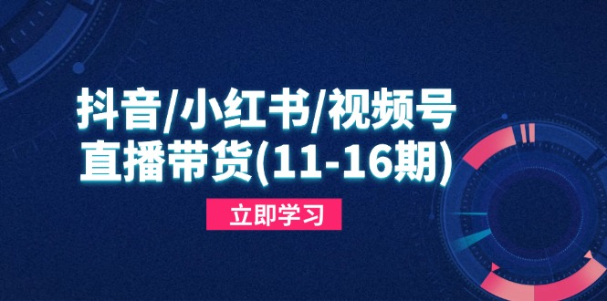 抖音/小红书/视频号/直播带货（11-16期），快速掌握平台规则，打造爆款内容跨境课程-外贸教程-精品网课-电商运营课库课堂