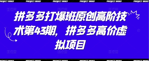 拼多多打爆班原创高阶技术第43期，拼多多高价虚拟项目跨境课程-外贸教程-精品网课-电商运营课库课堂