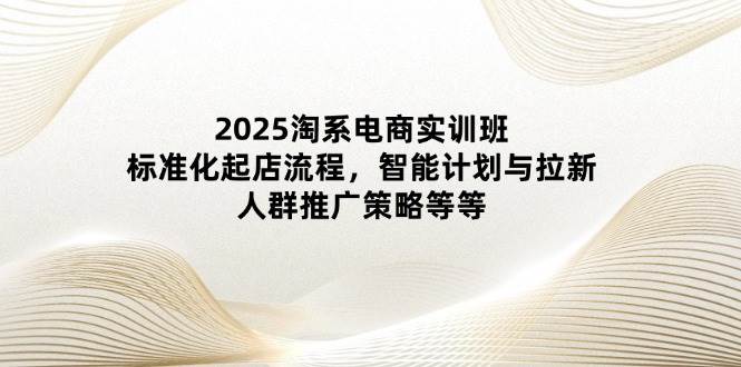 2025淘系电商实训班：标准化起店流程，智能计划与拉新，人群推广策略等等跨境课程-外贸教程-精品网课-电商运营课库课堂